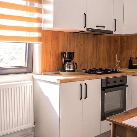 Târgu JiuNina Houseアパートメント 部屋 写真
