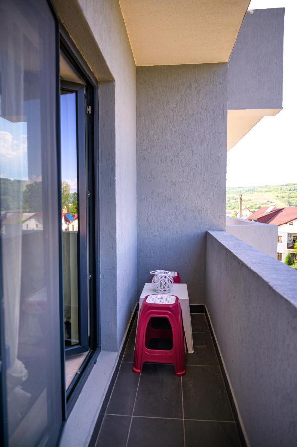 Târgu JiuNina Houseアパートメント エクステリア 写真