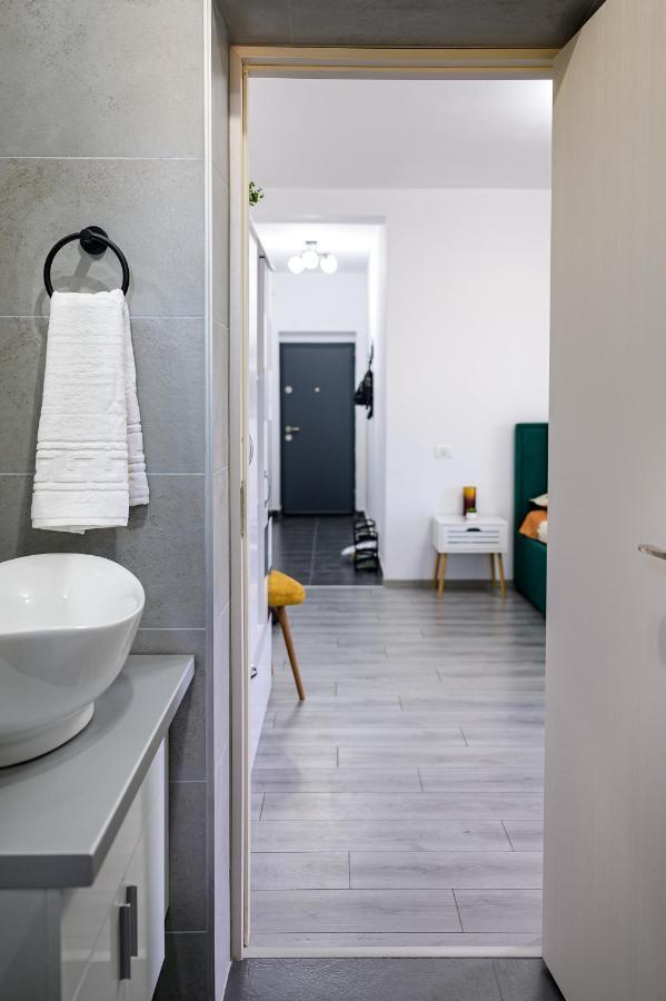 Târgu JiuNina Houseアパートメント エクステリア 写真